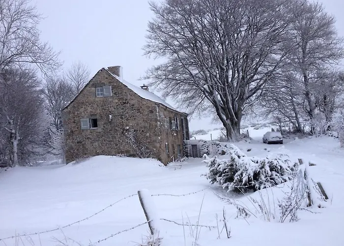 Aubrac De Lozere Prinsuejols-Malbouzon